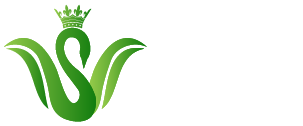 Swan Sorter Systems